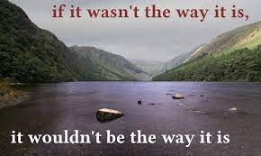 If Bernard Black Quotes Were Motivational Posters Black Quotes Black Books Quotes Motivational Posters