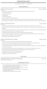 Read the account executive job description, either in sales, finance, or advertising. Digital Account Executive Resume Sample Mintresume