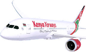 Are Volaris Flights Refundable In 2020 Airline Booking Airline Reservations Volaris Airlines