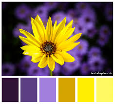 Quick look at purple color combinations in the form of chart. Pin On Stuff