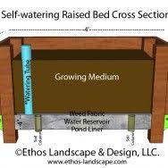 After the last month on quarantine, going to the grocery raised beds are great for planting and much easier to harvest and maintain. Diy Self Watering Raised Beds Diagram Diy Self Watering Self Watering Raised Beds