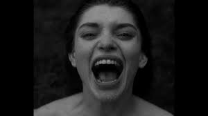 IL BUIO IN SALA: Recensione: "Nosferatu"