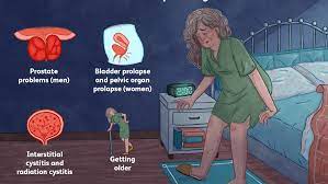 Causes Of Frequent Urination At Night