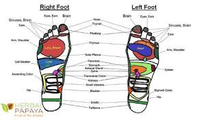 foot reflexology 15 amazing pressure points on your feet