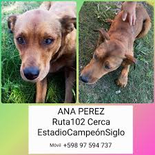 ⚠️🆘️🆘️Quedan en calle🆘️ 💔