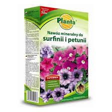 Image result for foto surfínie