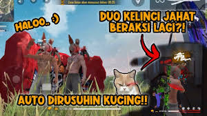 Link si jahat kelinci linktree dijamin puas. Duo Kelinci Jahat Beraksi Lagi Auto Di Rusuhin Kucing V Youtube