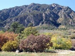 Maybe you would like to learn more about one of these? Colorado Springs Camping Garden Of The Gods Colorado