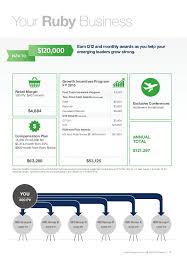 Amway Gi Summary 2015