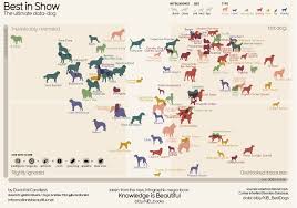 Charts And Graphs Dog Breeds Ranked By Popularity