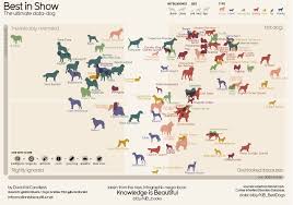 charts and graphs dog breeds ranked by popularity