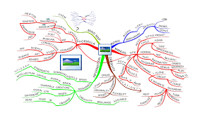 Creativity And Innovation Mind Maps Mind Map Examples Tony Buzan Mind Mapping