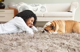 Open the bedroom window to air the room and help to dry the damp mattress. Professional Carpet Cleaning What To Know How To Book