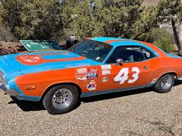 Image result for Eggshell 1974 Challenger