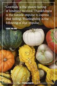 We did not find results for: 28 Best Thanksgiving Quotes Grateful Sayings To Share On Thanksgiving