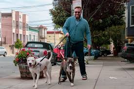 Includes listing of adoption locations, information about dogs and cats, services and volunteer opportunities. Want To Foster A Dog Get On The Waitlist As Demand Soars At Bay Area Shelters San Francisco Public Press