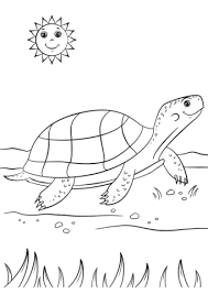 Search through 623,989 free printable colorings at getcolorings. Pin On In The Pond
