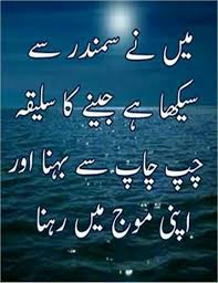 Pin On Urdu Adab