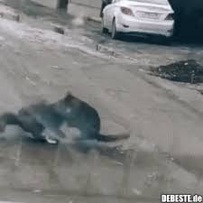 Grimm, eva meckbach, gaby dohm and others. Tanze Tango Mit Mir Lustige Bilder Spruche Witze Echt Lustig