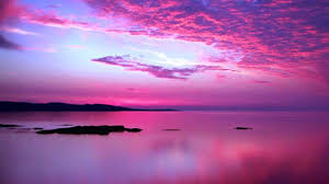 Choose from a curated selection of pink wallpapers for your mobile and desktop screens. 4k Pink Wallpaper Nosirix