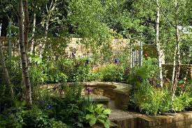 Jo Thompson Landscape Design S Instagram Post It S Been An Odd Week In The 8amdogwalk We Are Going Live At 11am Today Because It S Sunday I Was Ponderi I 2020