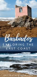 Barbados The Wild Side Barbados Travel Travel Destinations South America Travel