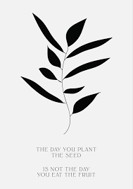 The Day You Plant The Seed Is Not The Day You Eat The Fruit Phylleli