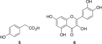 Image result for Cordia goetzei