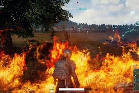 How to get companion in pubg mobile !! How To Get Free Falcon In Pubg Mobile Nomadan Org