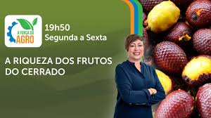 A Força do Agro #657: assista ao programa de 16/1/2026