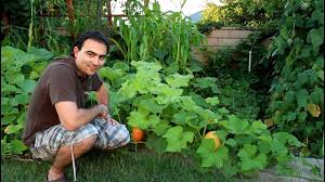 Keep the soil moist, but not soggy. Butternut Squash Growing Tips Youtube