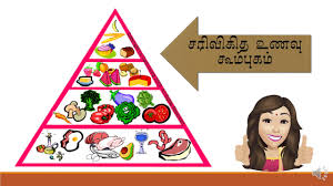 Piramida makanan adalah suatu piramida yang menggambarkan perbandingan komposisi jumlah biomassa dan energi dari produsen sampai piramida makanan juga dapat digunakan untuk memprediksi keseimbangan populasi dalam suatu ekosistem. Longgok Store Piramid Makanan Cute766