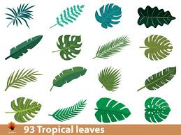 A small palm leaf should be flat and dry in a few days when you have placed them between the books. 93 Paper Leaves Templates Paper Leaf Vine Templates Banana Etsy