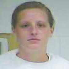 Large marijuana plants found