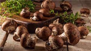 Maybe you would like to learn more about one of these? How To Grow Portobello Mushrooms At Home Youtube