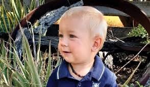 Latest from The Chronicle editor's desk