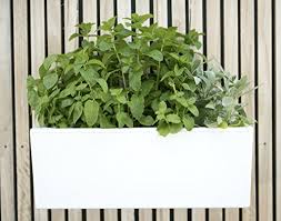 If you want a flexible set up, the rope wicks is an ideal choice, because it can be placed anywhere within the pot. Glowpear Urban Garden Self Watering Mini Wall Planter Buy Online In Andorra At Andorra Desertcart Com Productid 50096759