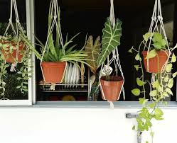 Sesuai untuk pesta makan malam yang akan datang, vas kayu panjang ini membuat sentuhan rendah untuk memaparkan bunga di meja makan anda. Ada Bunga Bergantungan Jadikan Rumah Lagi Nampak Wow Ni Cara Diy Hasilkan Talinya Kos Rm 2 Je Keluarga