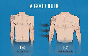 The Skinny Guys Guide To Body Fat Percentage Bony To Beastly