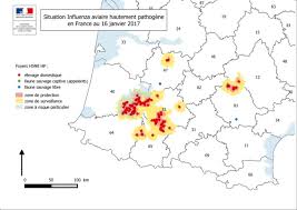 Carte de france des zones liées aux foyers de contamination à la grippe aviaire © ministère de. Influenza Aviaire La Situation Au 16 Janvier Actualites Filieres Avicoles