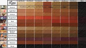 Hair Color Chart Loreal Sophie Hairstyles 30893