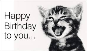 Image result for happy birthday cat card