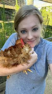 This is my Brahma Rooster Ludwig. He survived a fox attack. The fox killed  many of my Chickens in a short period of time when I had called the  livestock guardian dogs