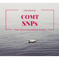 How To Check Your Genetic Data For Comt Neurotransmitters Genetics Genetics Articles
