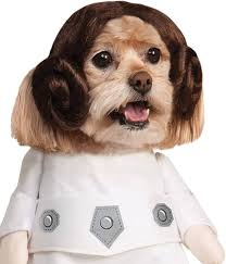 Rubie's Star Wars Prinzessin Leia Hundekostüm, Lang, Hals bis Schwanz 22“,  Brust 23“ Halloween : Amazon.de: Pet Supplies