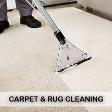 Carpet Rug Cleaning Professional Carpet Cleaning How To Clean Carpet Carpet Cleaning Company