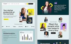 Website Example 3