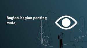 Mata manusia merupakan satu kesatuan yang disebut. Apa Saja 9 Bagian Bagian Mata Dan Fungsinya