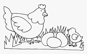 Melatih saraf motorik anak dengan mewarnai gambar ayam adalah hal yang sangat mengembirakan buat sang anak. Gambar Ayam Untuk Mewarnai Hd Png Download Kindpng