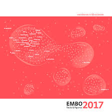 52 683 tykkäystä · 22 882 puhuu tästä. Http Www Embo Org Documents News Facts Figures Embo Facts Figures 2017 Pdf